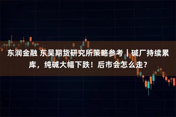 东润金融 东吴期货研究所策略参考｜碱厂持续累库，纯碱大幅下跌！后市会怎么走？