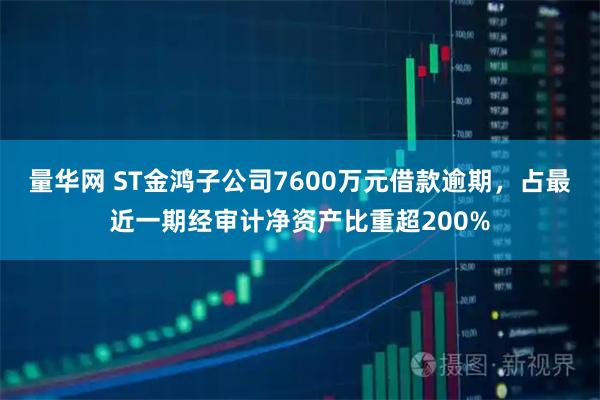 量华网 ST金鸿子公司7600万元借款逾期，占最近一期经审计净资产比重超200%