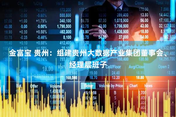 金富宝 贵州：组建贵州大数据产业集团董事会、经理层班子