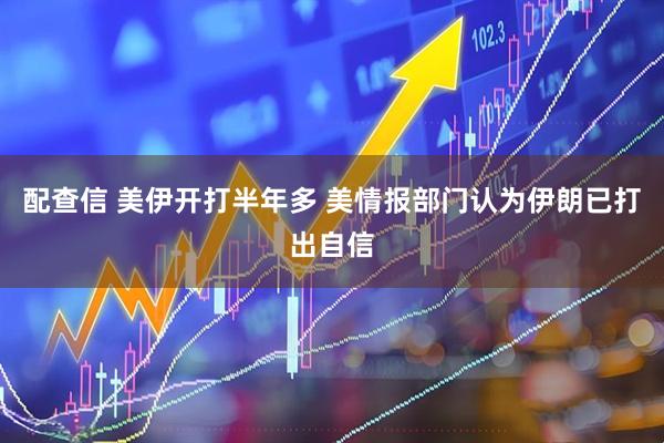 配查信 美伊开打半年多 美情报部门认为伊朗已打出自信